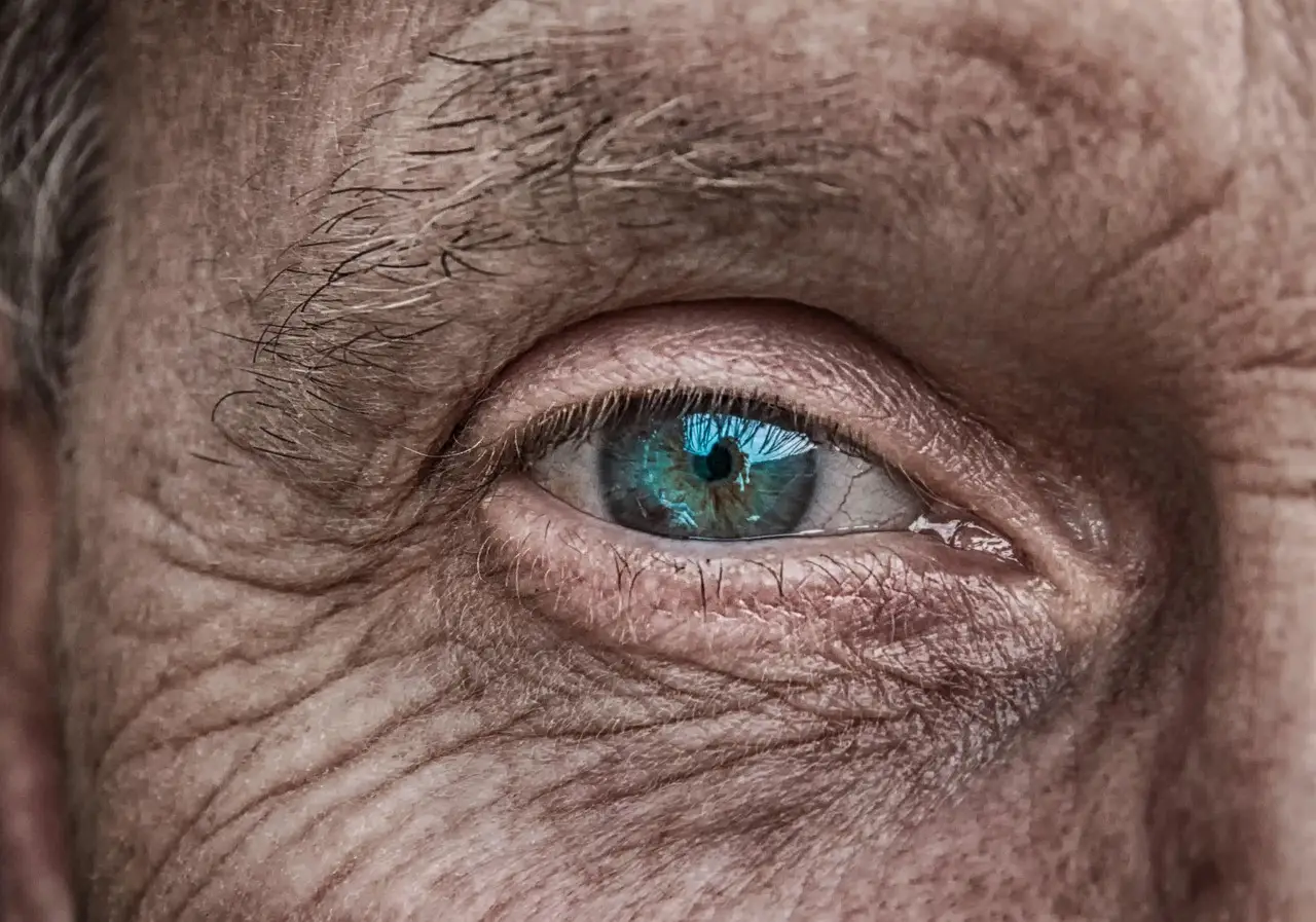 The 50 by 35 vision - UNHCR - The UN Refugee Agency